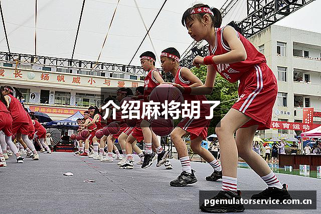 介绍麻将胡了